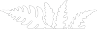 Elemental Consulting